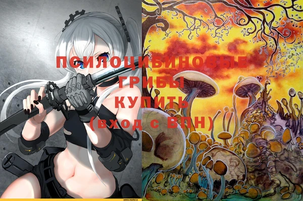 прущие крисы Вяземский